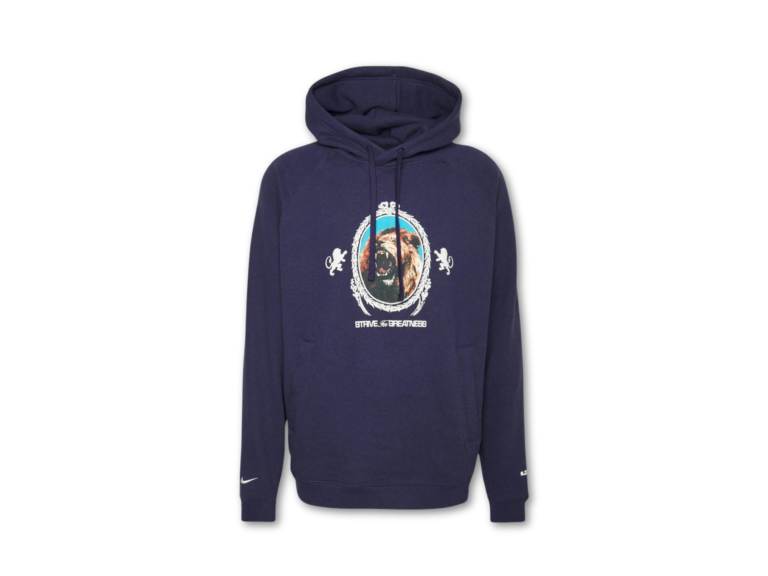 Nike performance Lebron James Hoodie Purple Ink/phantom