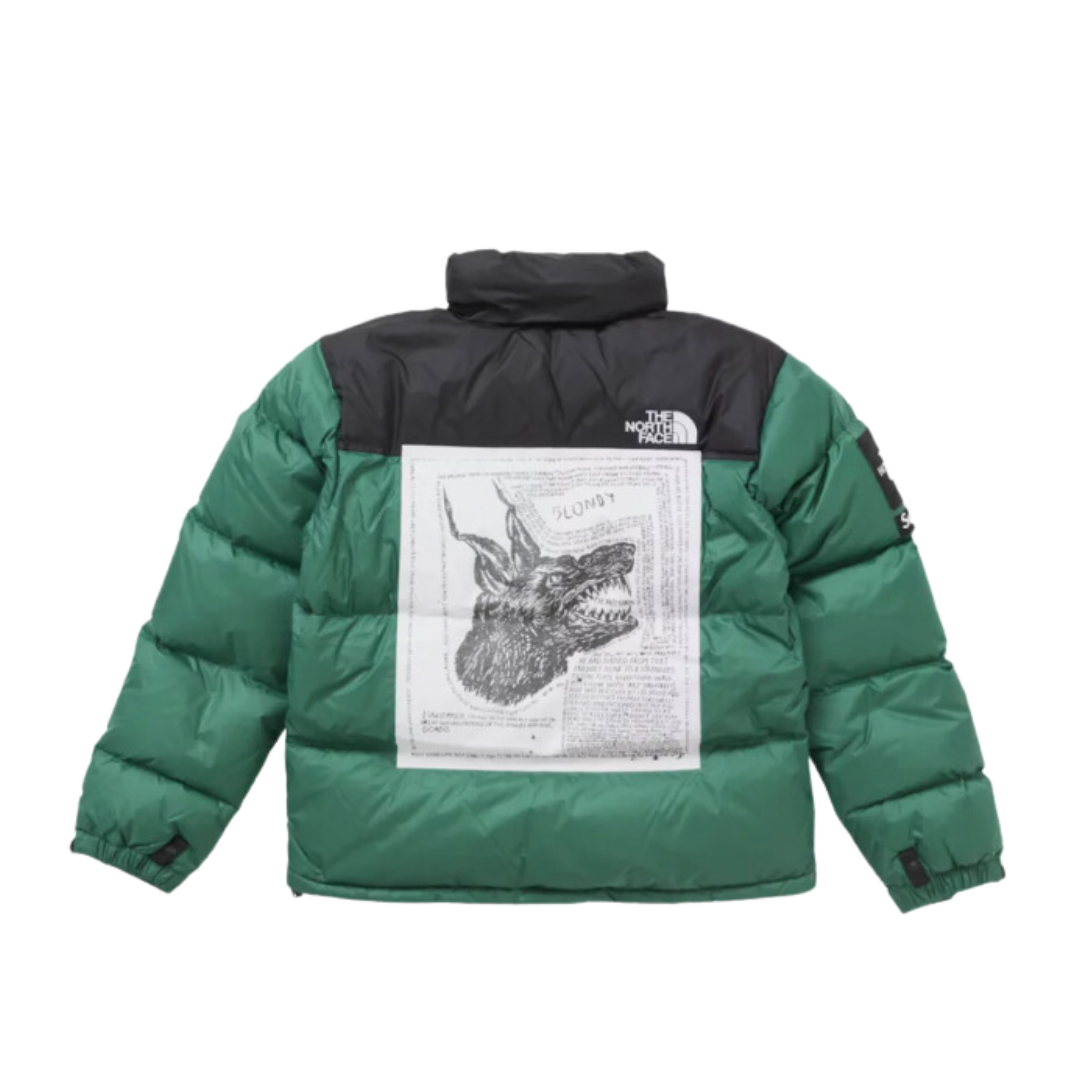The north face supreme nuptse green back
