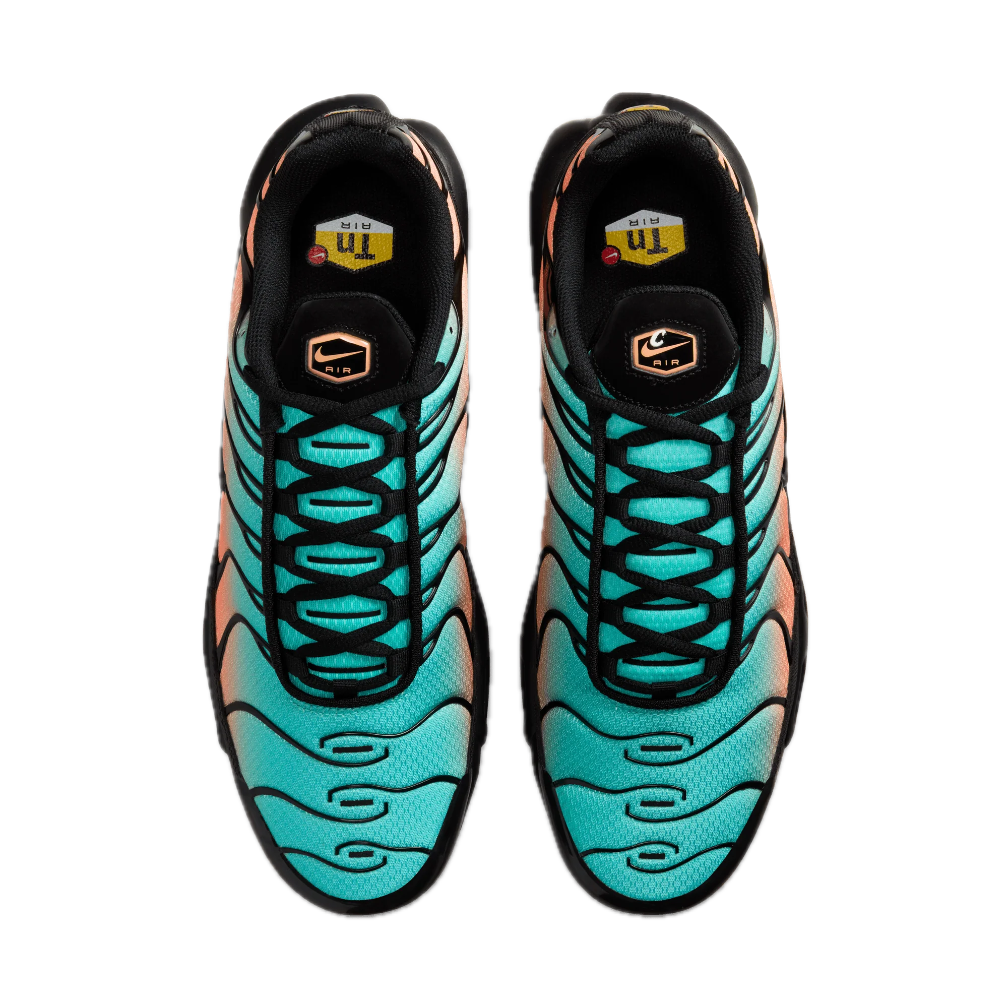 Nike Air Max Plus South Beach 3