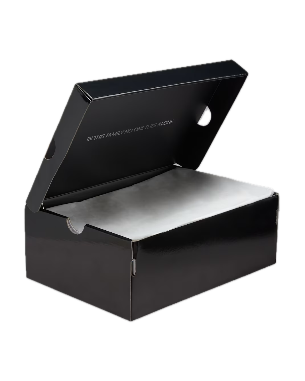 Jordan 5 Retro Wings (2025) (Women's) 11