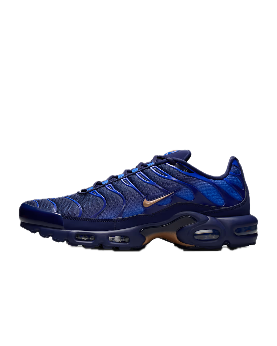 Nike Air Max Plus French Football Federation 1