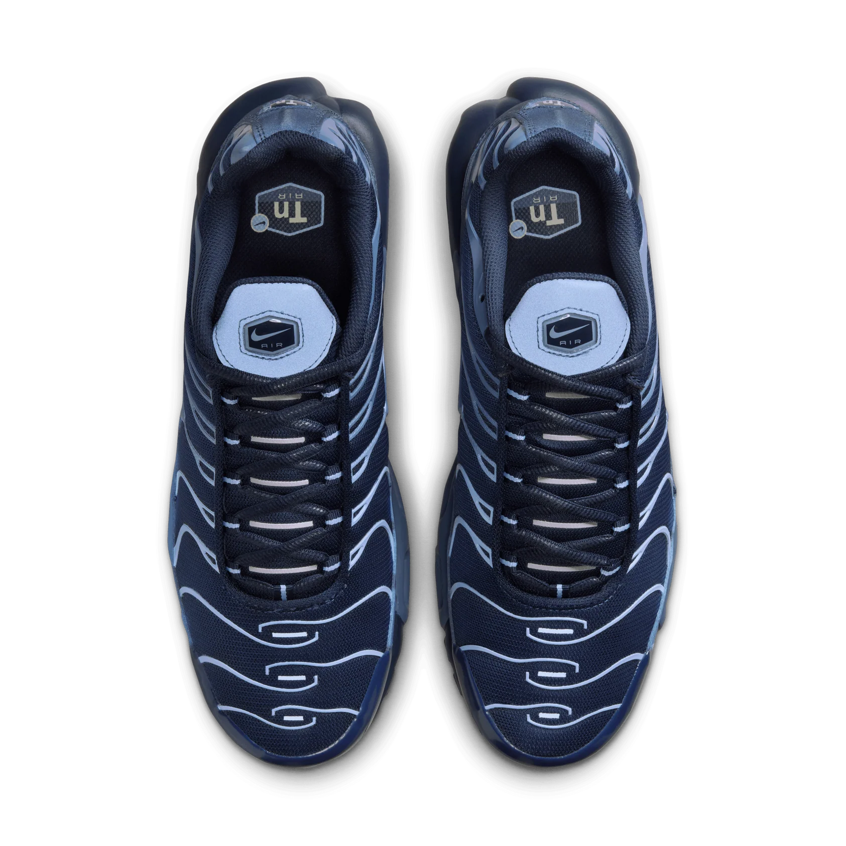 Nike Air Max Plus Obsidian Aluminum 2