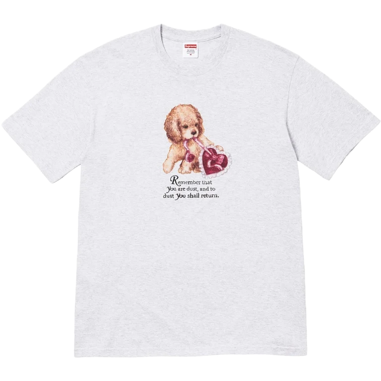 Supreme Dust Tee Grey Supreme Dust Tee Grey